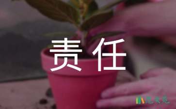 责任保证书汇编6篇